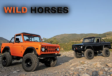 Truckin magazine article featuring Wild Horses