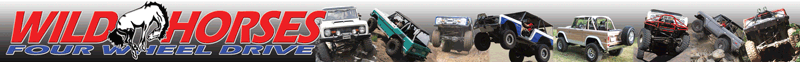 WILD HORSES Early Ford Bronco 4X4