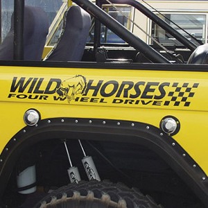 Large Fender Sticker