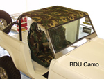 CONVERTIBLE TOPS & DOOR