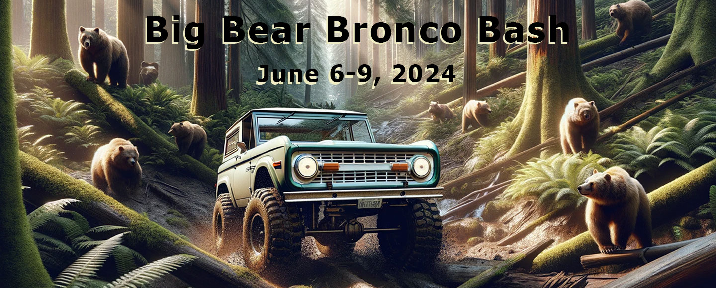 WILD HORSES 4X4