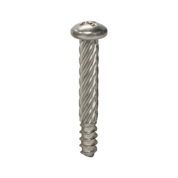 Tail Light Lens Screw | OE Style, SINGLE | 66-77 Bronco, 67-72 Ford Truck