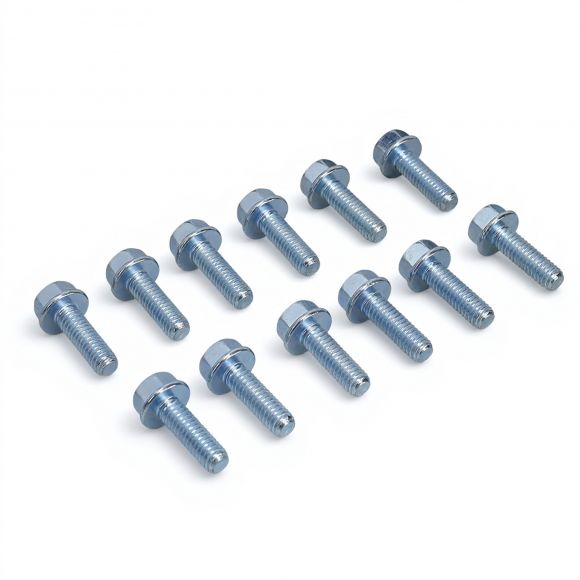 Door Hinge Mounting Bolts | Both Sides | 78-79 Bronco, 73-79 Ford Truck