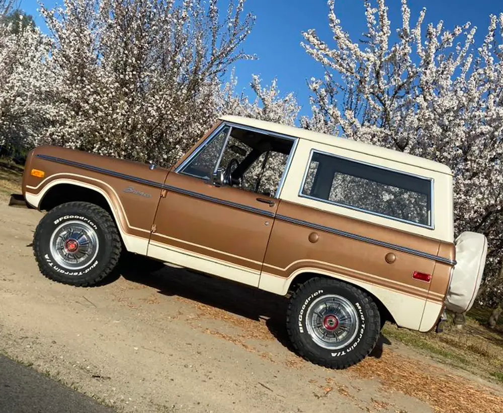 Liza Rose's Stock Height Early Bronco