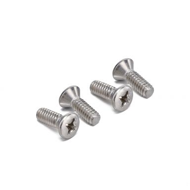 Tailgate Handle Mount Plate Screws | SS | 1966-77 Bronco, 1964-72 Ford Truck