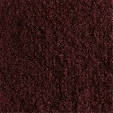 80-96 Ford Bronco Carpet Kits | Wild Horses 4x4